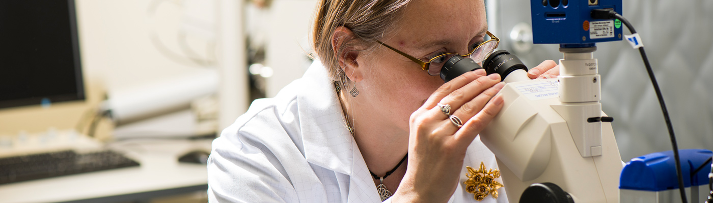 White coated researcher peering into microscope in lab