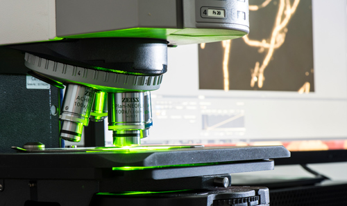 Zeiss microscope emanating green light